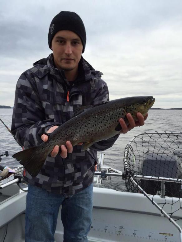 Suvaksen antia. Nopea kuva ja takas uimaan.