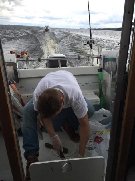 Keiteleellä matkalla punnitukseen