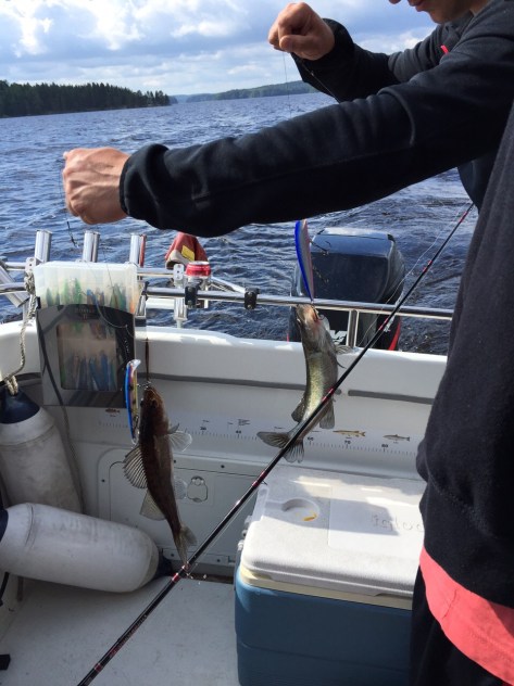 Photo 9.7.2015 14.28.33