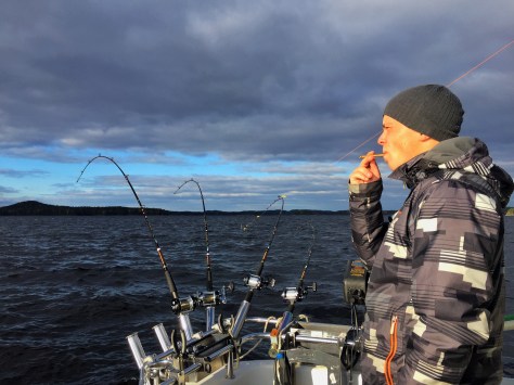 Tomi odottamassa tärppiä