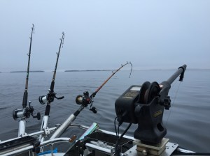 Takilat pyytämässä