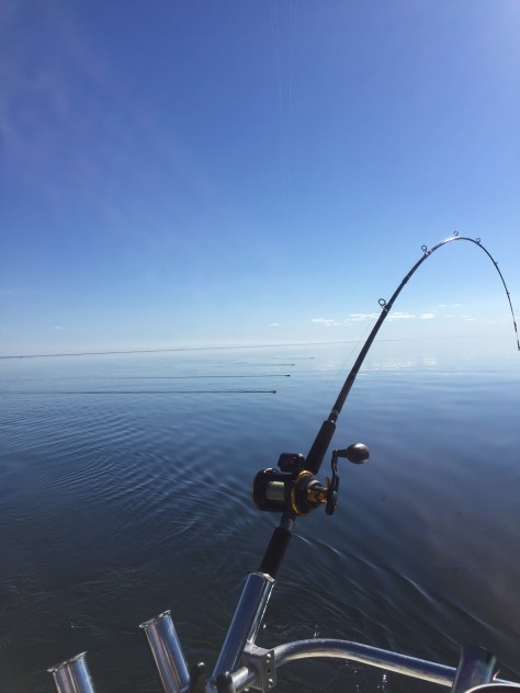 Photo 11.4.2016 15.24.37