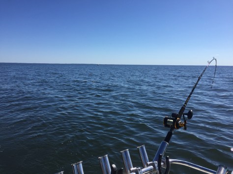 Photo 12.4.2016 13.27.32