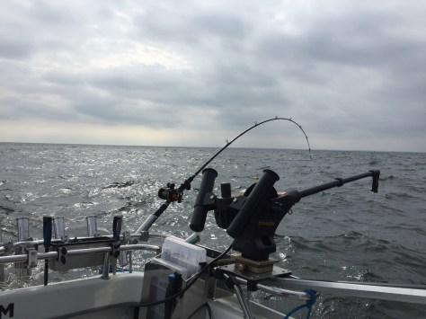 Photo 15.4.2016 10.43.24