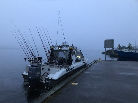 photo-24-11-2016-8-31-40