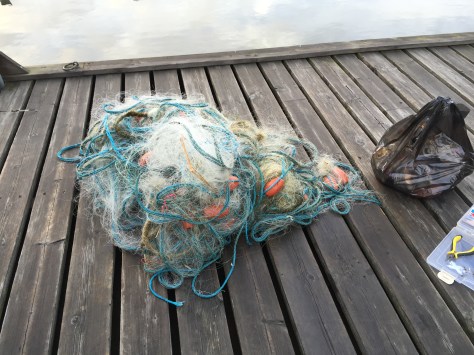 Photo 7.4.2016 19.07.20