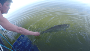 vlcsnap-2016-04-12-07h52m51s790