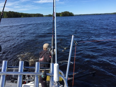 Photo 12.6.2016 11.33.57