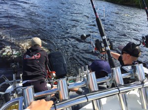 Photo 12.6.2016 14.52.11