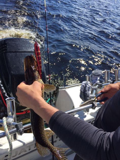 Photo 11.7.2016 22.04.18