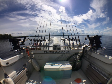 Photo 29.7.2016 13.44.15