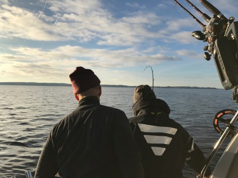 photo-10-10-2016-16-07-09