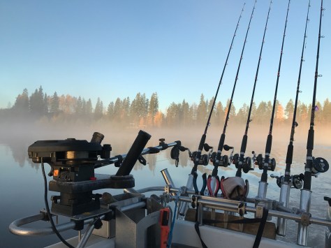 photo-3-10-2016-7-57-00