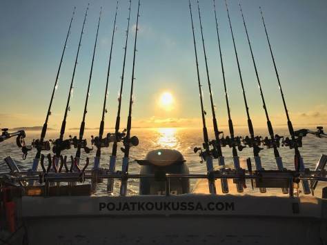 photo-6-11-2016-9-26-56