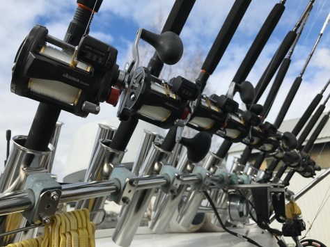 FullSizeRender (1).jpg