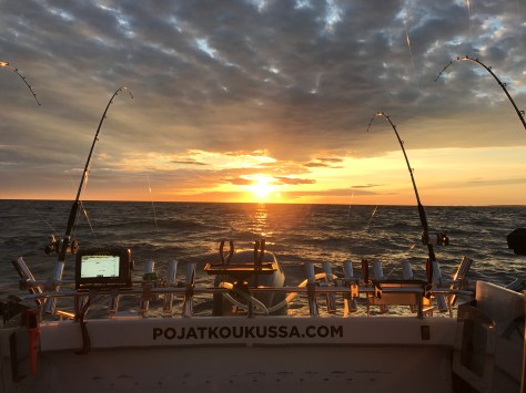 FullSizeRender (16).jpg